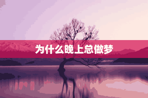 为什么晚上总做梦